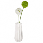 vase cactus, blanc d. 10,5 cm, h. 24 cm blanc mat - ASA