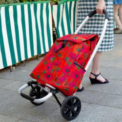 TROLLY - CADDIE DE COURSES - COQUELICOTS Pylones