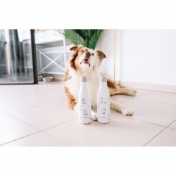 Bouteille isotheme collection PRETTY DOGS coloris blanc, 500ml