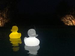 LAMPE THE DUCK DUCK XL - BLANC Design Philosophy