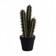 Cactus artificiel en pot h. 35 cm - ASA