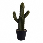 Cactus artificiel en pot h. 41 cm - ASA