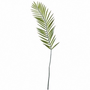 Fougère l. 96 cm 
