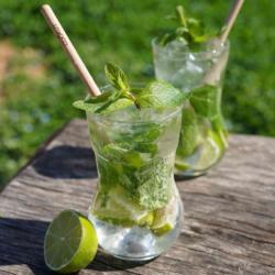 Meilleur vere a mojito du monde X2