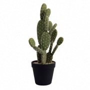 Cactus artificiel en pot h.41 cm - ASA