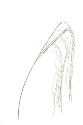 Branche Cheveu d'ANGELO Or - H 130cm Andrea Bizzotto