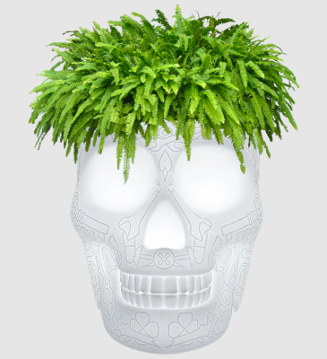 Porte Plante Seau à champagne MEXICO transparent rechargeable avec telecommande RVB Qeeboo