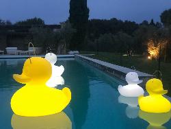 LAMPE THE DUCK DUCK SMALL - YELLOW Design Philosophy