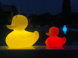 LAMPE THE DUCK DUCK SMALL - WHITE Design Philosophy