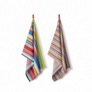 Set de 2 Torchons multicolore rayé fin vertical - 100% coton - 50 x 70 cm
