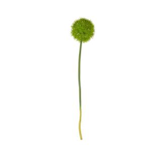 allium XL, vert l. 60 cm fleur artificielle d'ail verte