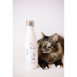 Bouteille isotheme collection PRETTY CATS coloris blanc, 500ml